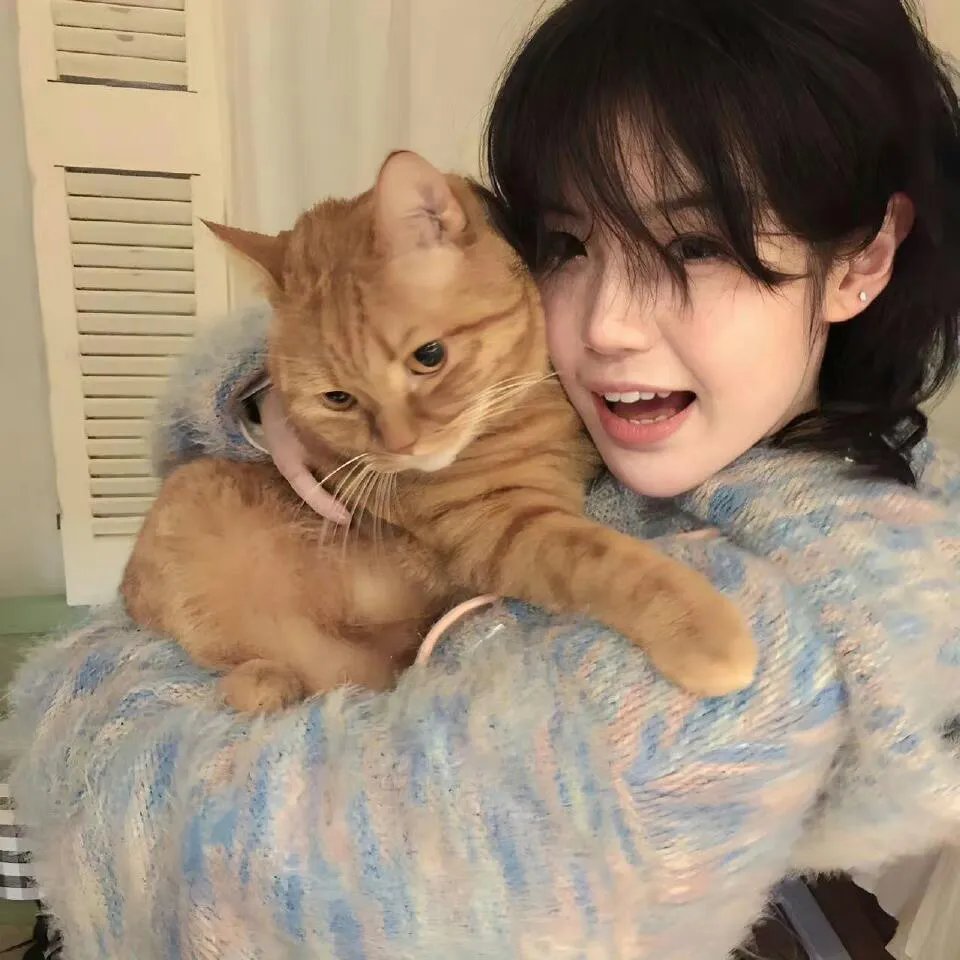 大卫的圣诞魔法