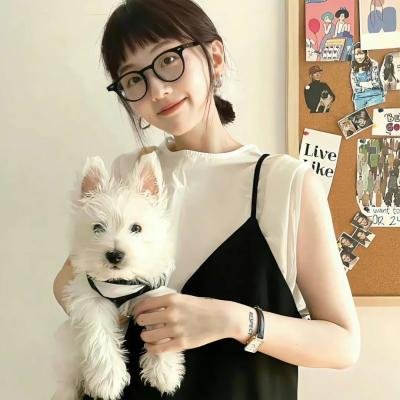 双世美姬